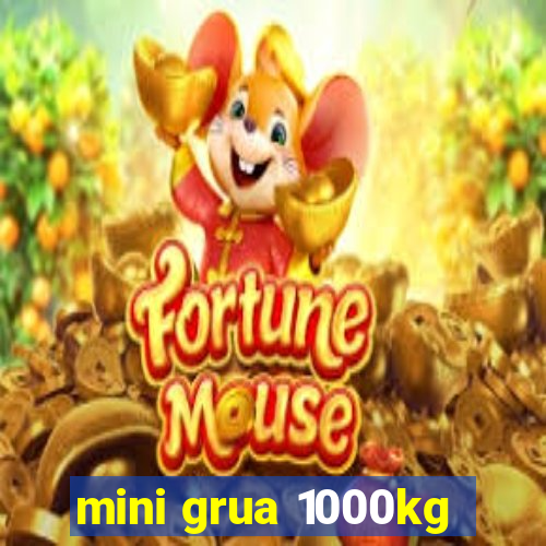 mini grua 1000kg